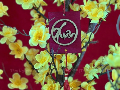 Cây Mai Vàng thân gỗ Cao 130 - 140cm CAYCANH-TET-02